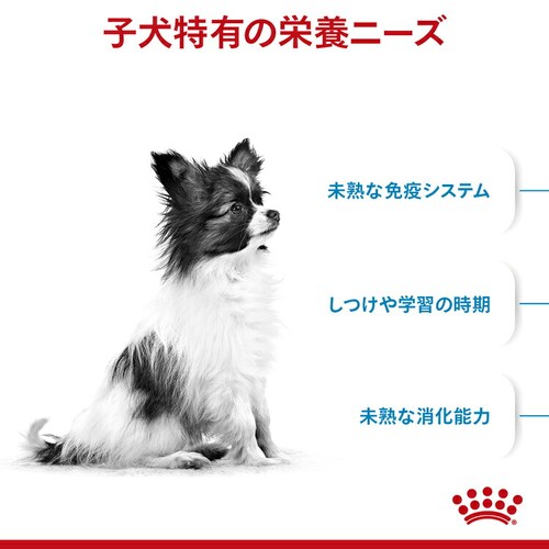 ロイヤルカナン 犬用 エクストラスモール パピー 800g SHN(サイズ ヘルス ニュートリション)rcdb52_2