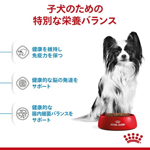 ロイヤルカナン 犬用 エクストラスモール パピー 800g SHN(サイズ ヘルス ニュートリション)rcdb52_3