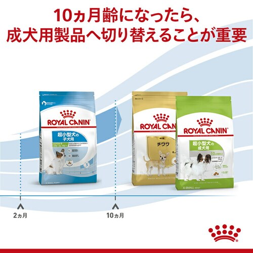 ロイヤルカナン 犬用 エクストラスモール パピー 800g SHN(サイズ ヘルス ニュートリション)rcdb52_5