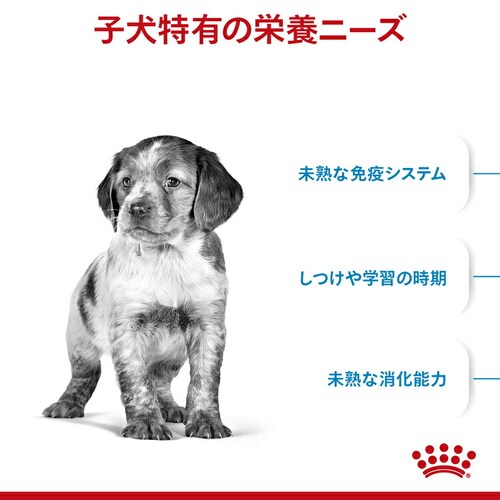 ロイヤルカナン 犬用 ミディアム パピー 4kg SHN(サイズ ヘルス ニュートリション)rcdb46_2
