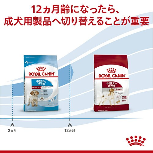 ロイヤルカナン 犬用 ミディアム パピー 4kg SHN(サイズ ヘルス ニュートリション)rcdb46_5