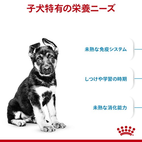 【4個セット】 ロイヤルカナン 犬用 マキシ パピー 4kg SHN(サイズ ヘルス ニュートリション)rcdb41_2