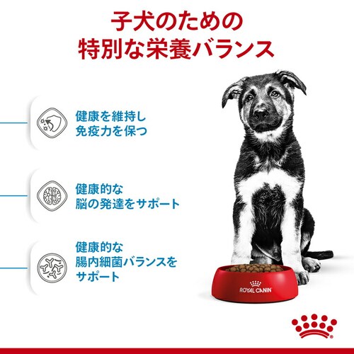 【4個セット】 ロイヤルカナン 犬用 マキシ パピー 4kg SHN(サイズ ヘルス ニュートリション)rcdb41_3