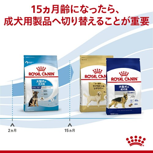 【4個セット】 ロイヤルカナン 犬用 マキシ パピー 4kg SHN(サイズ ヘルス ニュートリション)rcdb41_5