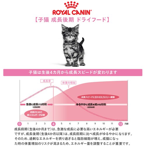 【2個セット】 ロイヤルカナン キャット キトン 子猫用 2kg rccf11_2