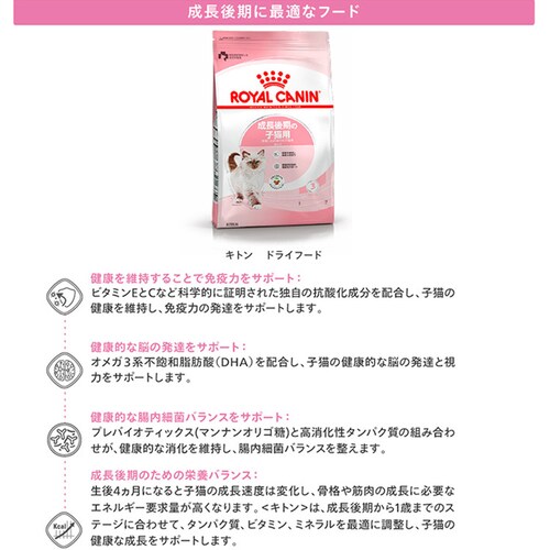 【2個セット】 ロイヤルカナン キャット キトン 子猫用 2kg rccf11_4