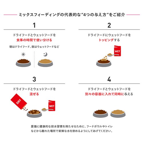 【2個セット】 ロイヤルカナン キャット キトン 子猫用 2kg rccf11_6