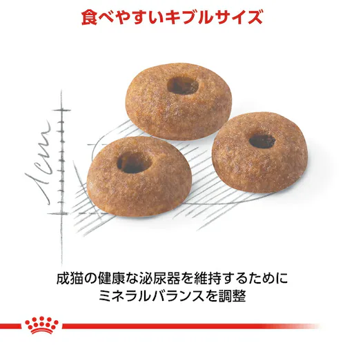 ロイヤルカナン キャット フィット 成猫用 400g rccf14_4