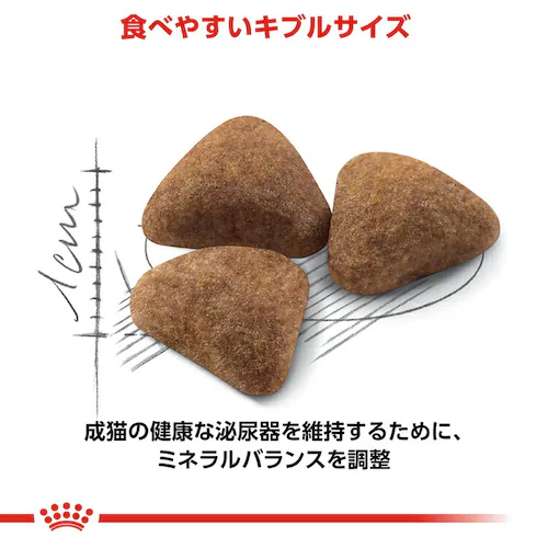 【6個セット】ロイヤルカナン キャット インドア 400g rccf06_4