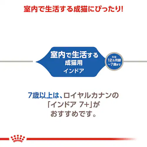 【6個セット】ロイヤルカナン キャット インドア 400g rccf06_5