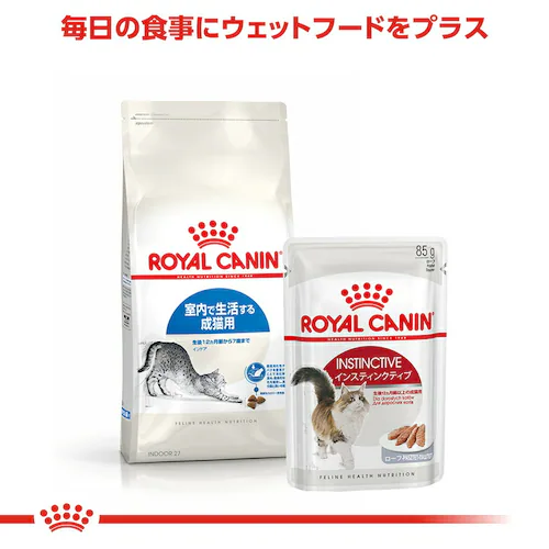 【6個セット】ロイヤルカナン キャット インドア 400g rccf06_6