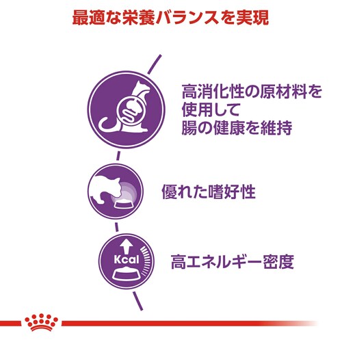【2個セット】ロイヤルカナン キャット 食が細くやせ気味の成猫用 センシブル 成猫用 400g FHN(フィーライン ヘルス ニュートリション)rccf13_3