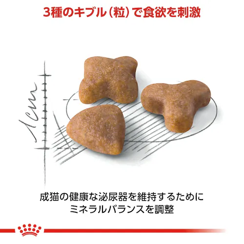 【2個セット】ロイヤルカナン キャット 食が細くやせ気味の成猫用 センシブル 成猫用 400g FHN(フィーライン ヘルス ニュートリション)rccf13_4