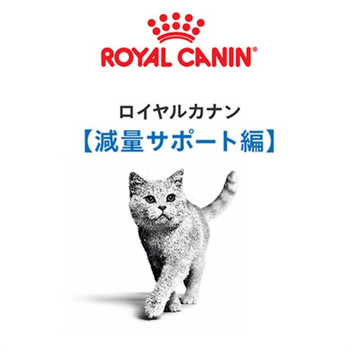 【12個セット】ロイヤルカナン キャット ライト ウェイトケア 減量したい成猫用 400g FCN(フィーライン ケア ニュートリション)rccf26_2