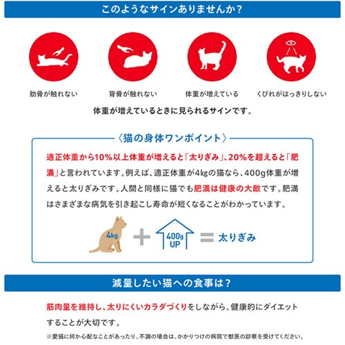 【12個セット】ロイヤルカナン キャット ライト ウェイトケア 減量したい成猫用 400g FCN(フィーライン ケア ニュートリション)rccf26_3