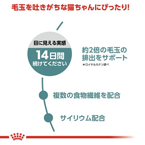 �y12�Z�b�g�z���C�����J�i�� �L���b�g �w�A�{�[�� �ыʂ��C�ɂȂ鐬�L�p 400g FCN�i�t�B�[���C�� �P�A �j���[�g���V�����jrccf30_3
