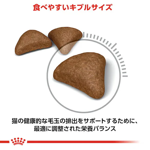 �y12�Z�b�g�z���C�����J�i�� �L���b�g �w�A�{�[�� �ыʂ��C�ɂȂ鐬�L�p 400g FCN�i�t�B�[���C�� �P�A �j���[�g���V�����jrccf30_4