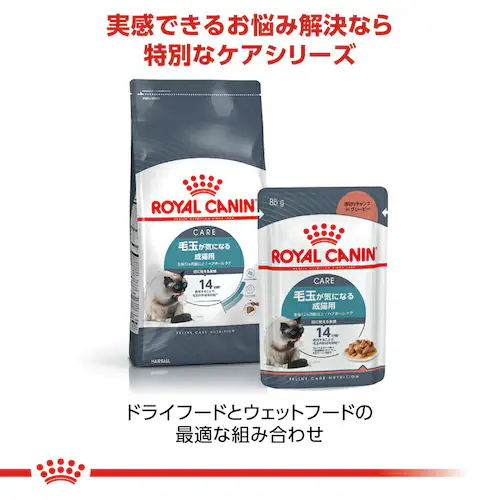 �y12�Z�b�g�z���C�����J�i�� �L���b�g �w�A�{�[�� �ыʂ��C�ɂȂ鐬�L�p 400g FCN�i�t�B�[���C�� �P�A �j���[�g���V�����jrccf30_5