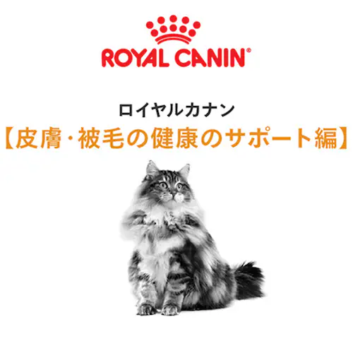 【12個セット】ロイヤルカナン ヘアー&スキン ケア 健康で美しい皮膚・被毛を維持したい成猫用 400g FCN(フィーライン ケア ニュートリション)rccf28_2