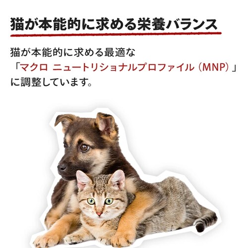 ロイヤルカナン ペルシャ・チンチラ・ヒマラヤン 子猫用 400g FBN(フィーライン ブリード ニュートリション)rccf39_3