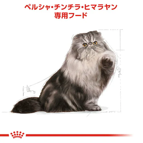 【2個セット】ロイヤルカナン ペルシャ・チンチラ・ヒマラヤン 成猫用 400g FBN(フィーライン ブリード ニュートリション)rccf38_3