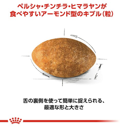【2個セット】ロイヤルカナン ペルシャ・チンチラ・ヒマラヤン 成猫用 400g FBN(フィーライン ブリード ニュートリション)rccf38_4
