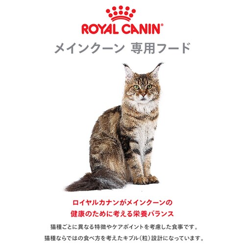 【2個セット】 ロイヤルカナン メインクーン 成猫用 2kg FBN(フィーライン ブリード ニュートリション)rccf40_2