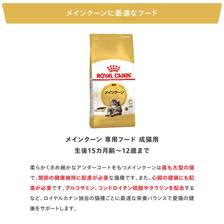 2個セット】 ロイヤルカナン メインクーン 成猫用 2kg FBN（フィー
