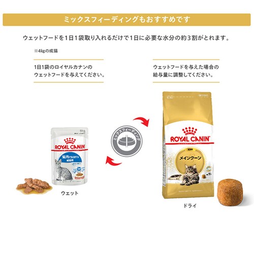 【2個セット】 ロイヤルカナン メインクーン 成猫用 2kg FBN(フィーライン ブリード ニュートリション)rccf40_7