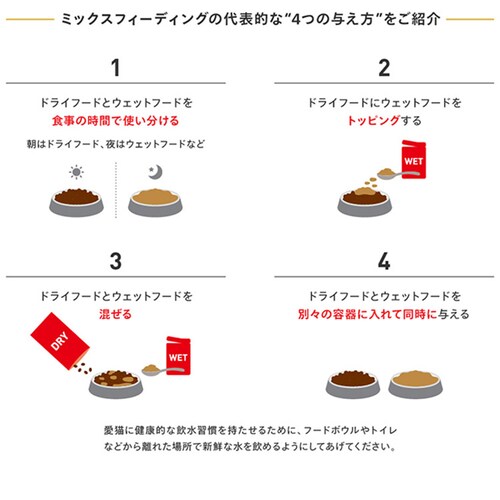 【2個セット】 ロイヤルカナン メインクーン 成猫用 2kg FBN(フィーライン ブリード ニュートリション)rccf40_8