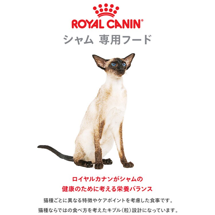 6個セット】ロイヤルカナン シャム 成猫用 2kg FBN（フィーライン