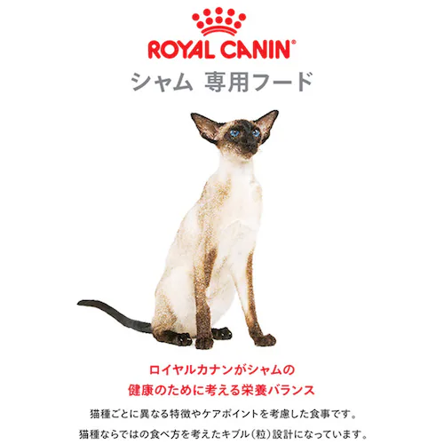 【6個セット】ロイヤルカナン シャム 成猫用 2kg FBN(フィーライン ブリード ニュートリション)rccf34_2