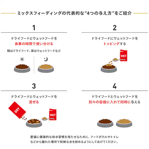 【6個セット】ロイヤルカナン シャム 成猫用 2kg FBN(フィーライン ブリード ニュートリション)rccf34_8