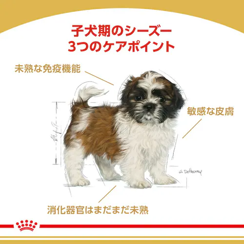 �y6�Z�b�g�z ���C�����J�i�� �V�[�Y�[ �q���p 1.5kg BHN�i�u���[�h �w���X �j���[�g���V�����jrcdb04_2