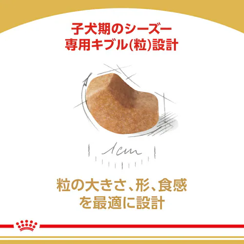 �y6�Z�b�g�z ���C�����J�i�� �V�[�Y�[ �q���p 1.5kg BHN�i�u���[�h �w���X �j���[�g���V�����jrcdb04_4