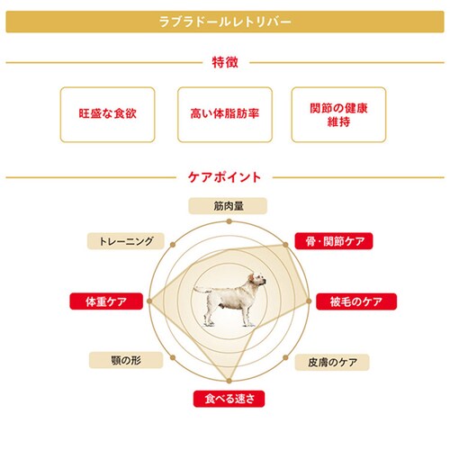 【4個セット】ロイヤルカナン ラブラドールレトリバー 子犬用 3kg BHN(ブリード ヘルス ニュートリション)rcdb26_3