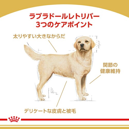 �y4�Z�b�g�z���C�����J�i�� ���u���h�[�����g���o�[ �����`����p 3kg BHN�i�u���[�h �w���X �j���[�g���V�����jrcdb24_2