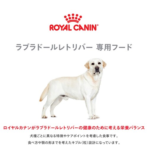 【4個セット】ロイヤルカナン ラブラドールレトリバー 成犬〜高齢犬用 3kg BHN(ブリード ヘルス ニュートリション)rcdb24_2