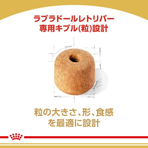 �y4�Z�b�g�z���C�����J�i�� ���u���h�[�����g���o�[ �����`����p 3kg BHN�i�u���[�h �w���X �j���[�g���V�����jrcdb24_4