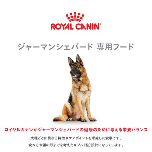 【4個セット】ロイヤルカナン ジャーマンシェパード 成犬・高齢犬用 3kg BHN(ブリード ヘルス ニュートリション)rcdb05_2