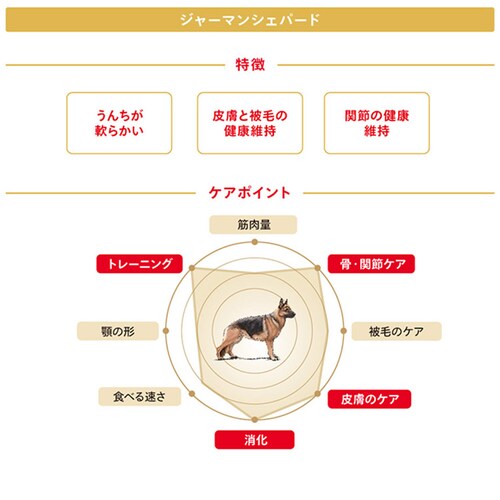 【4個セット】ロイヤルカナン ジャーマンシェパード 成犬・高齢犬用 3kg BHN(ブリード ヘルス ニュートリション)rcdb05_3