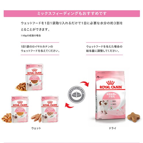 ロイヤルカナン FHN-WET ベビーキャット 子猫用 100g FHN(フィーライン ヘルス ニュートリション)rccf47_5