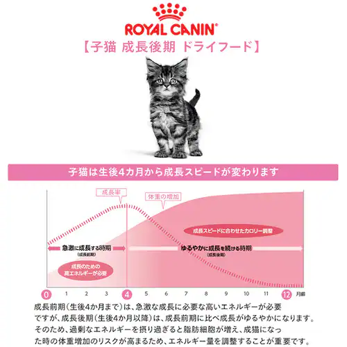 ロイヤルカナン キャットフード FHN-WET キトン ゼリー 子猫用 85g FHN(フィーライン ヘルス ニュートリション)rccf18_2