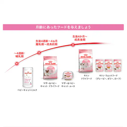 ロイヤルカナン キャットフード FHN-WET キトン ゼリー 子猫用 85g FHN(フィーライン ヘルス ニュートリション)rccf18_3