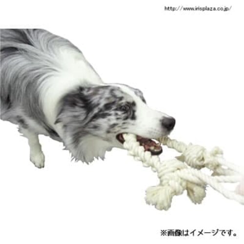 �i�`�������R�b�g�����[�v�@M�i���^������/��������E�f���^���g�C�j_2