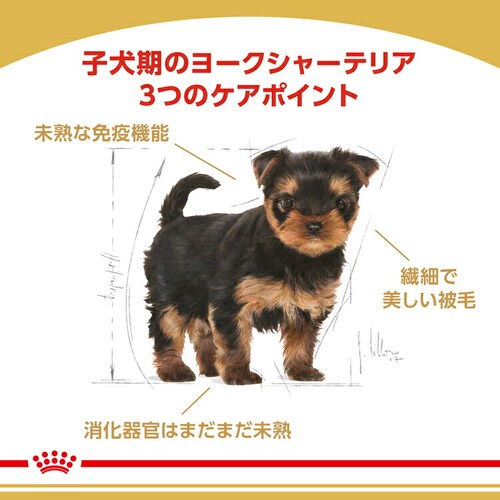 【12個セット】ロイヤルカナン ヨークシャーテリア 子犬用 500g BHN(ブリード ヘルス ニュートリション)rcdb23_2