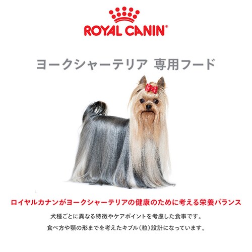 【12個セット】ロイヤルカナン ヨークシャーテリア 子犬用 500g BHN(ブリード ヘルス ニュートリション)rcdb23_2