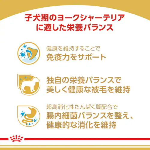 【12個セット】ロイヤルカナン ヨークシャーテリア 子犬用 500g BHN(ブリード ヘルス ニュートリション)rcdb23_3