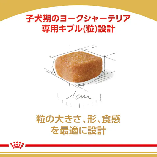 【12個セット】ロイヤルカナン ヨークシャーテリア 子犬用 500g BHN(ブリード ヘルス ニュートリション)rcdb23_4