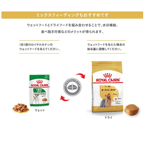 【12個セット】ロイヤルカナン ヨークシャーテリア 子犬用 500g BHN(ブリード ヘルス ニュートリション)rcdb23_7